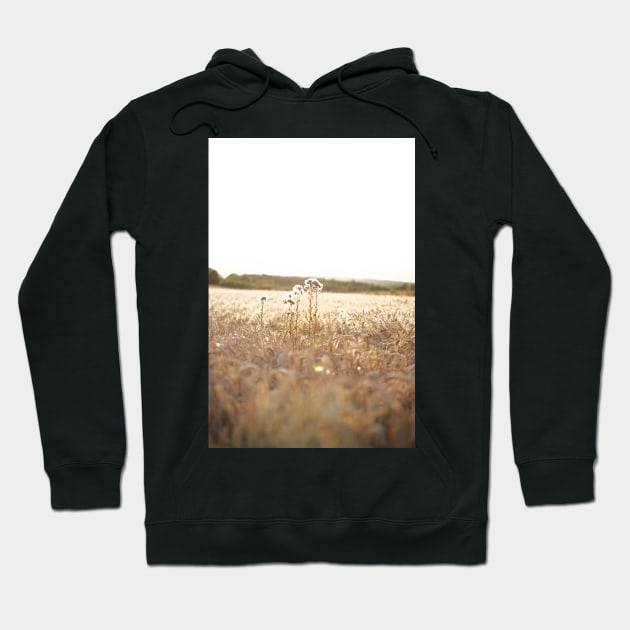 Cornfield in Summer Hoodie by Matlasaya